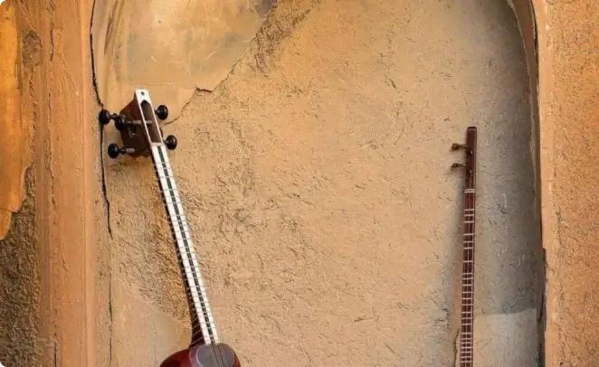 یک ساز ایرانی تکیه به دیوار