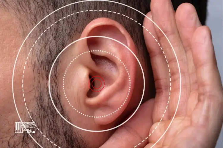 حس‌کردن موسیقی: کاوش در تجربه ناشنوایان و چگونگی ارتباط بدن ما با صدا
